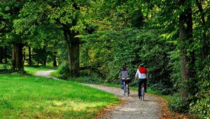 Bike ride in de Maashorst